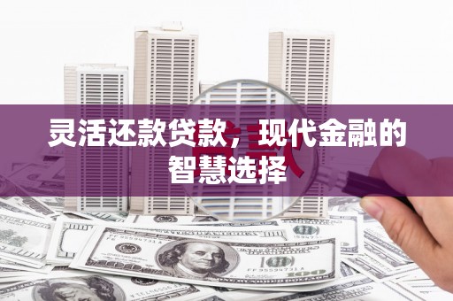 修文灵活还款贷款，现代金融的智慧选择