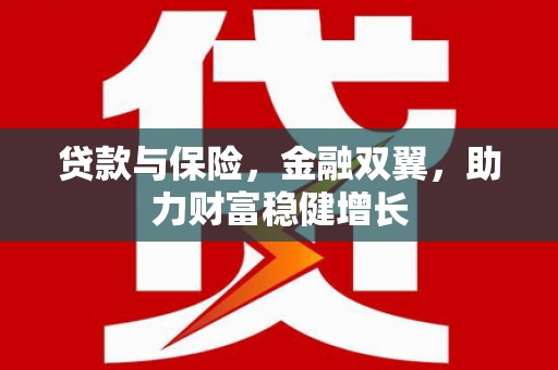 修文贷款与保险，金融双翼，助力财富稳健增长