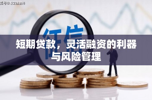 修文短期贷款，灵活融资的利器与风险管理