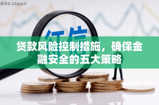 修文贷款风险控制措施，确保金融安全的五大策略