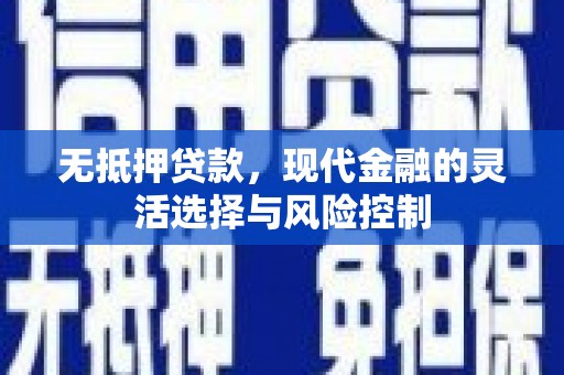修文无抵押贷款，现代金融的灵活选择与风险控制