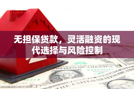 修文无担保贷款，灵活融资的现代选择与风险控制
