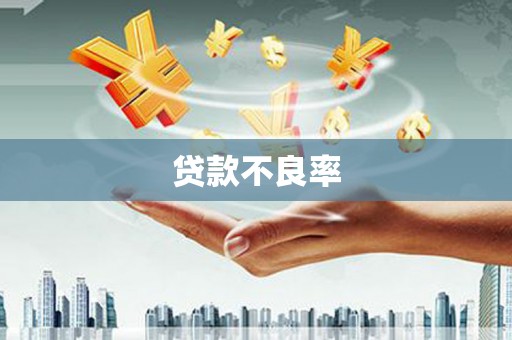 修文贷款不良率