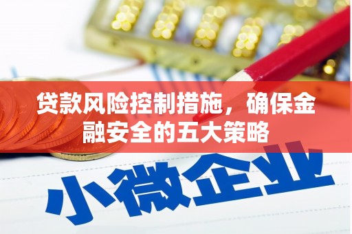 修文贷款风险控制措施，确保金融安全的五大策略