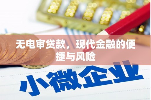 修文无电审贷款，现代金融的便捷与风险