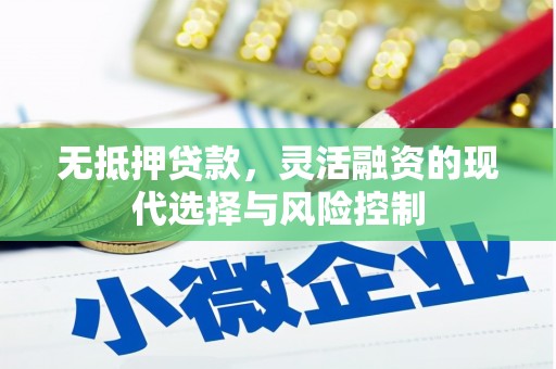 修文无抵押贷款，灵活融资的现代选择与风险控制
