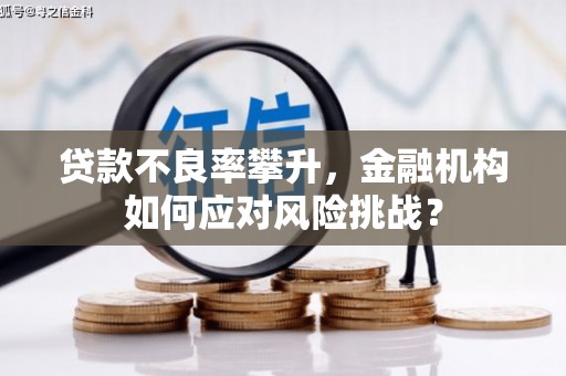 修文贷款不良率攀升，金融机构如何应对风险挑战？