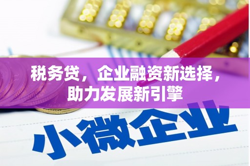 修文税务贷，企业融资新选择，助力发展新引擎