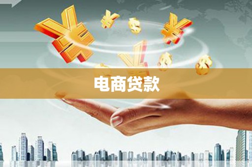 修文电商贷款