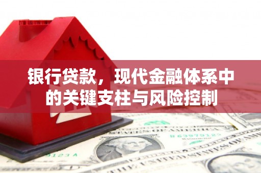 修文银行贷款，现代金融体系中的关键支柱与风险控制