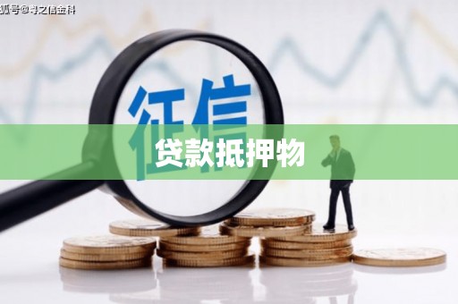 修文贷款抵押物