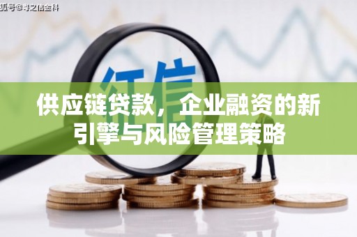 修文供应链贷款，企业融资的新引擎与风险管理策略