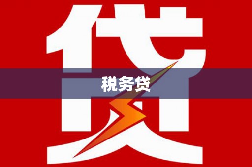修文税务贷