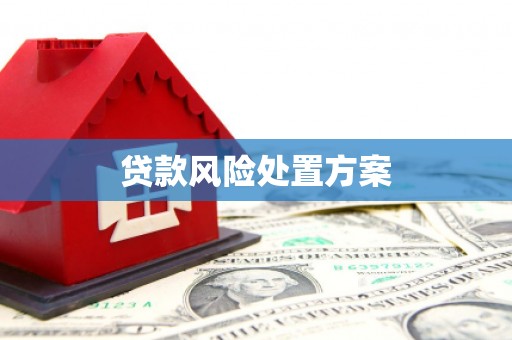 修文贷款风险处置方案