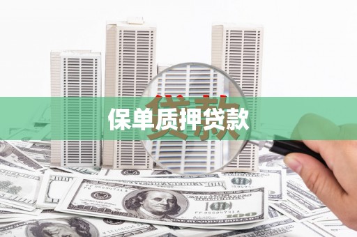 修文保单质押贷款
