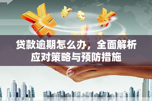 修文贷款逾期怎么办，全面解析应对策略与预防措施