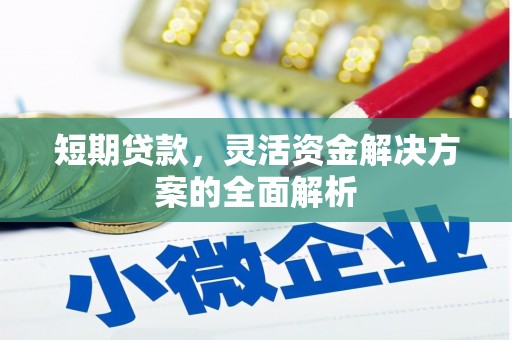 修文短期贷款，灵活资金解决方案的全面解析