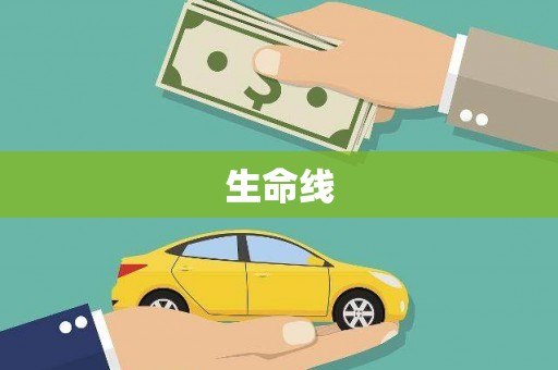 修文生命线