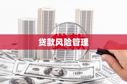 修文贷款风险管理