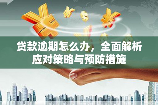 修文贷款逾期怎么办，全面解析应对策略与预防措施