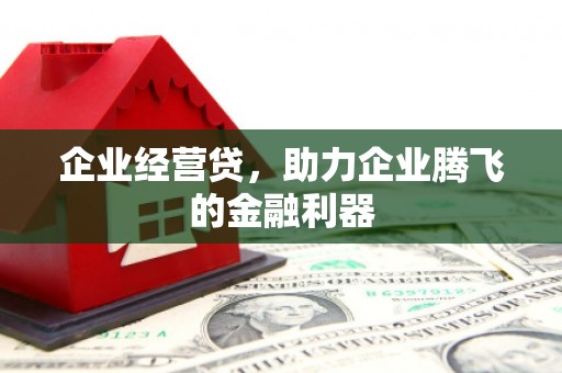 修文企业经营贷，助力企业腾飞的金融利器