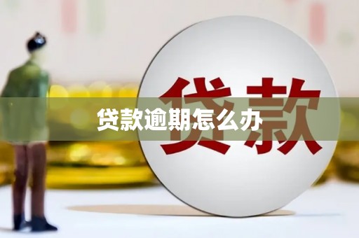 修文贷款逾期怎么办
