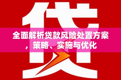 修文全面解析贷款风险处置方案，策略、实施与优化
