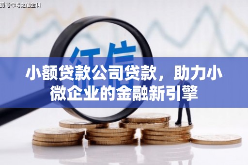 修文小额贷款公司贷款，助力小微企业的金融新引擎