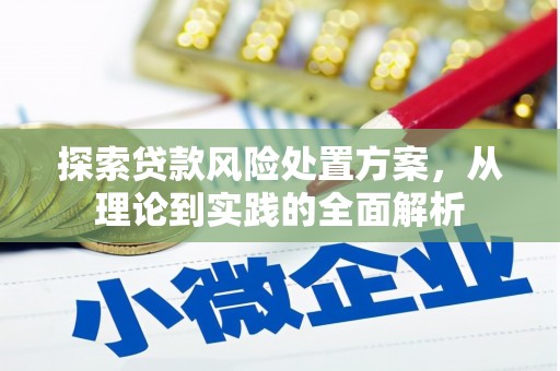 修文探索贷款风险处置方案，从理论到实践的全面解析
