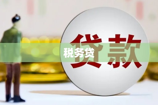 修文税务贷