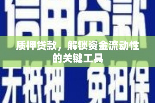 修文质押贷款，解锁资金流动性的关键工具