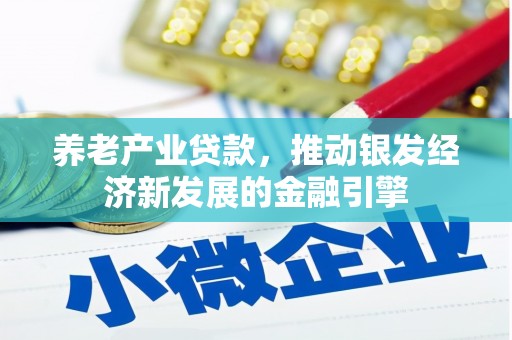 修文养老产业贷款，推动银发经济新发展的金融引擎