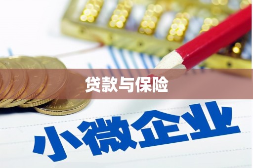 修文贷款与保险
