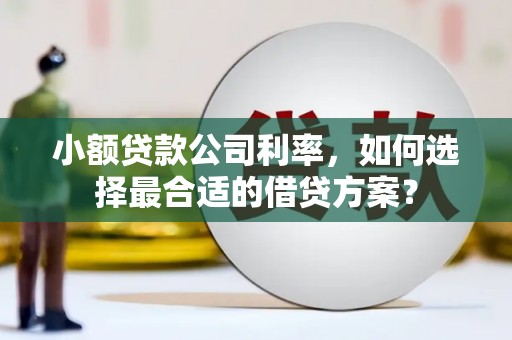 修文小额贷款公司利率，如何选择最合适的借贷方案？