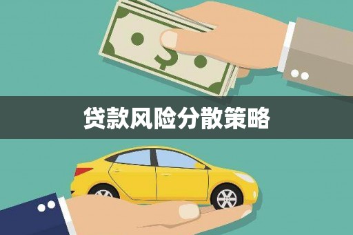 修文贷款风险分散策略