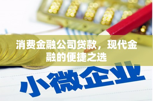 修文消费金融公司贷款，现代金融的便捷之选