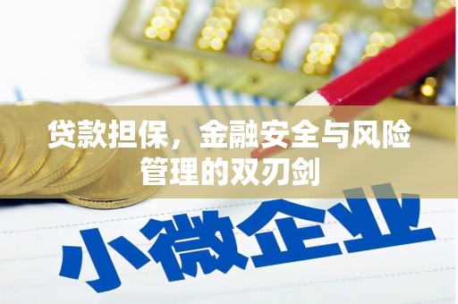 修文贷款担保，金融安全与风险管理的双刃剑