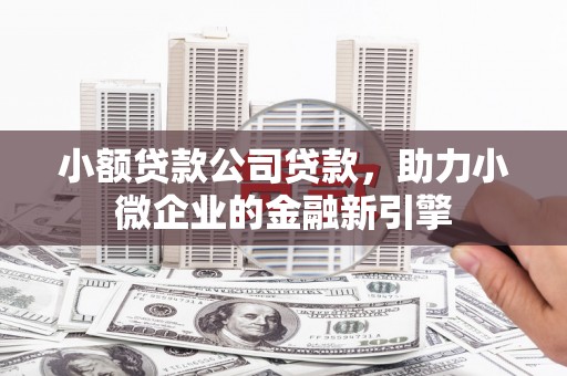 修文小额贷款公司贷款，助力小微企业的金融新引擎