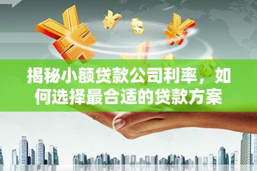 修文揭秘小额贷款公司利率，如何选择最合适的贷款方案