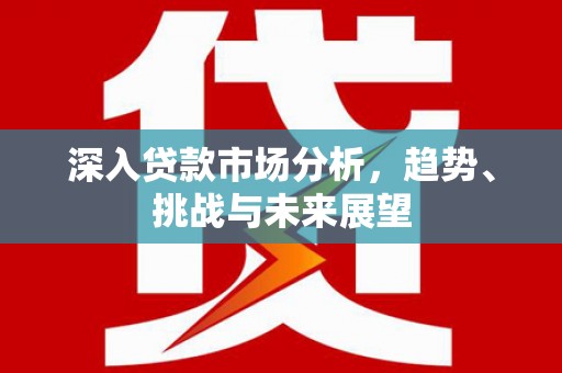 修文深入贷款市场分析，趋势、挑战与未来展望