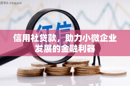 修文信用社贷款，助力小微企业发展的金融利器