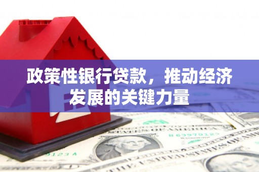修文政策性银行贷款，推动经济发展的关键力量