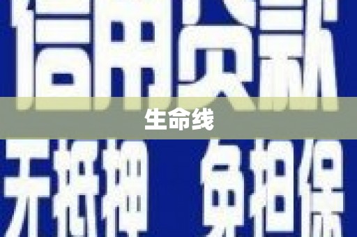修文生命线