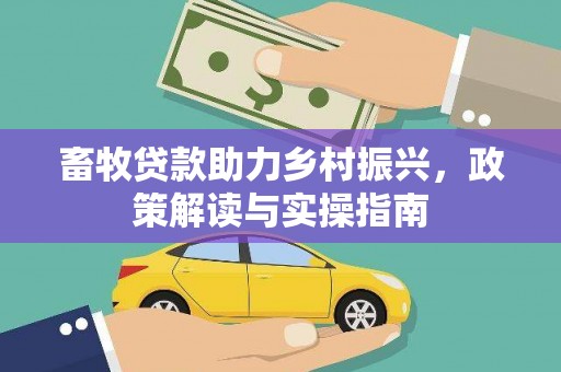 修文畜牧贷款助力乡村振兴，政策解读与实操指南