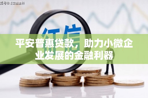 修文平安普惠贷款，助力小微企业发展的金融利器