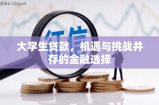修文大学生贷款，机遇与挑战并存的金融选择