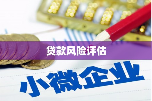 修文贷款风险评估