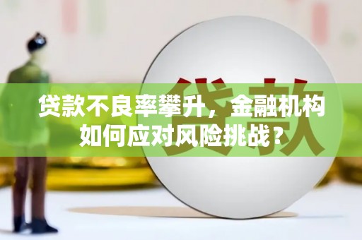 修文贷款不良率攀升，金融机构如何应对风险挑战？