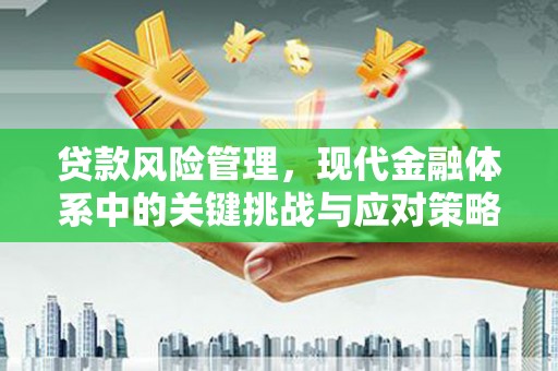 修文贷款风险管理，现代金融体系中的关键挑战与应对策略