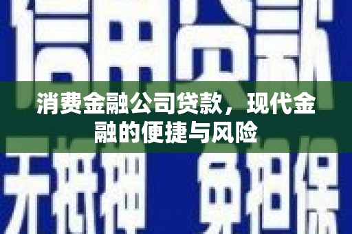 修文消费金融公司贷款，现代金融的便捷与风险